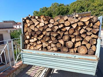 Legna secca quercia e faggio castagno ulivo