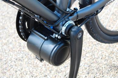 Bici elettriche e-Bike Bicicletta elettrica
