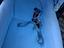 Immagine 5