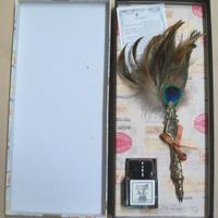 Penna Piuma occhio di pavone nuova