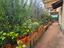Immagine 21