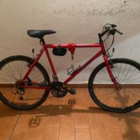 Bicicletta Specialized Rock Hopper Rossa Vintage