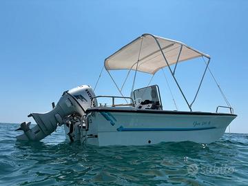 Barca Saver con motore Honda 40cv 4 tempi