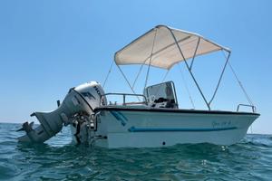 Barca Saver con motore Honda 40cv 4 tempi