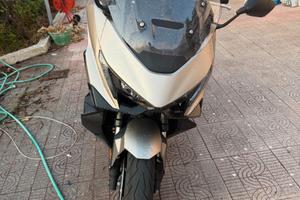 Honda Forza 750 del 2026