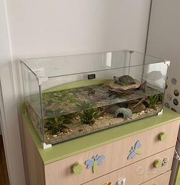 Acquario 80L con pompa e riscaldatore