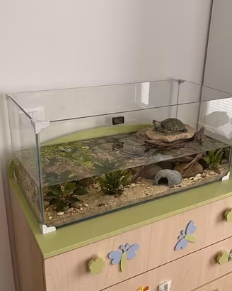 Acquario 80L con pompa e riscaldatore