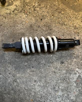Mono ammortizzatore duke 790/890