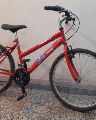 Bicicletta da ragazzo/a
