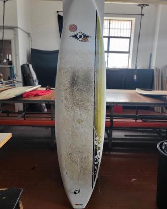 tavole surf