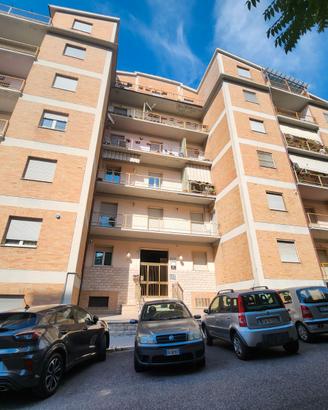 Campobasso - Ampia soluzione in centro