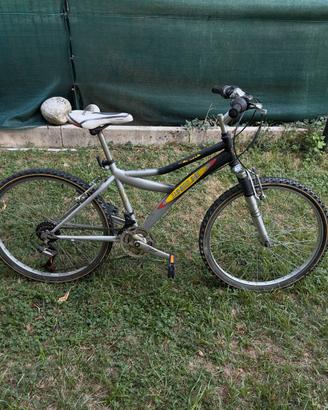 Bici usata