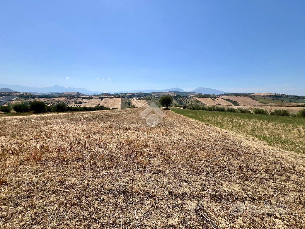 TER. AGRICOLO A MOSCIANO SANT'ANGELO - Altro