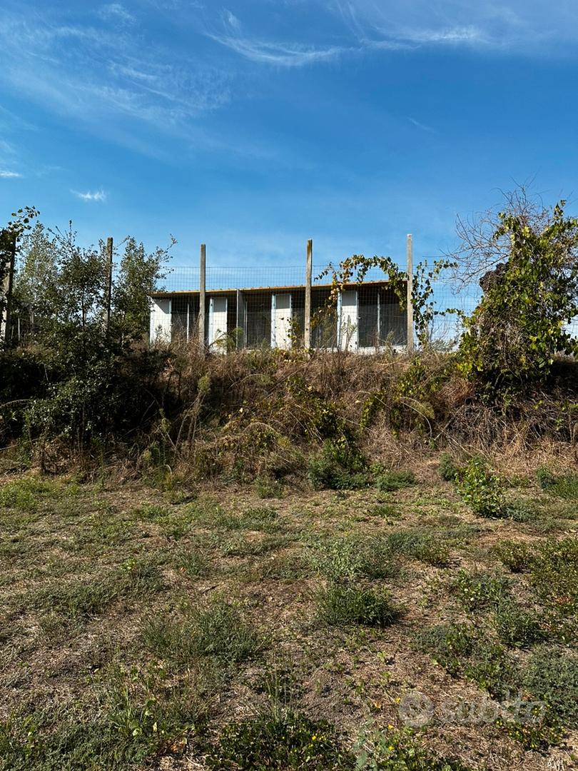 Terreno agricolo - Pollena Trocchia - Vista 3