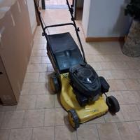 tosaerba  della Green Cat.