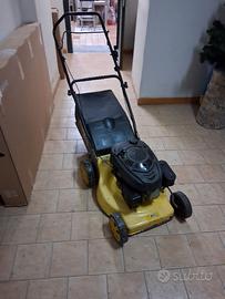 tosaerba  della Green Cat.