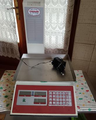 Bilancia a precisione