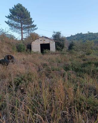 Terreno agricolo