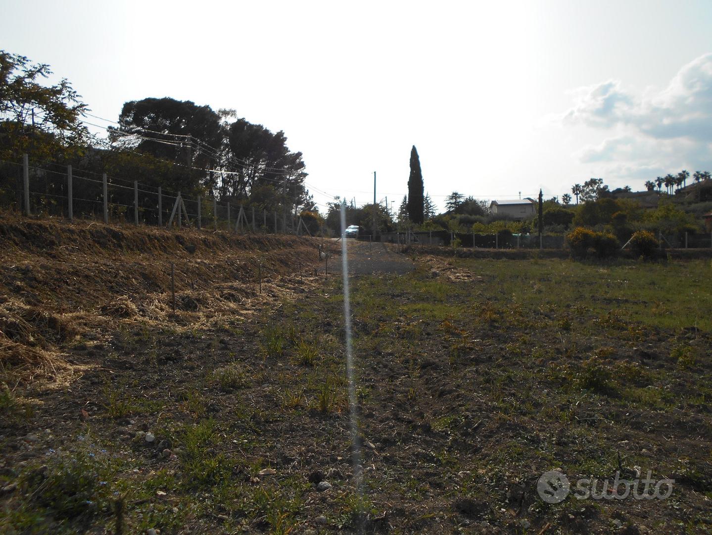 Terreno contrada sartania San Cataldo - Vista 5