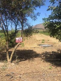 Terreno di 1600 m² a Mondragone