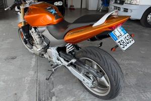 Hornet 2005