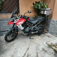 Tiger xca 