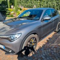 ALFA ROMEO Stelvio 2.2 TD 210 CV AT8 Q4 Veloce