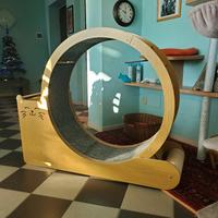 Ruota per gatti 