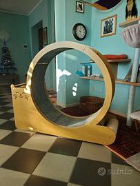 Ruota per gatti 