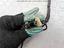 Immagine 19