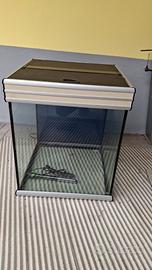 Acquario 110/120 litri