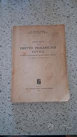 Appunti di Diritto Processuale Civile 
