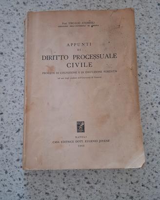 Appunti di Diritto Processuale Civile 