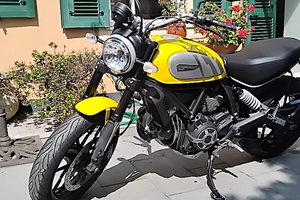 Ducati scrambler 800 Icon Yellow