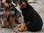 Immagine 3