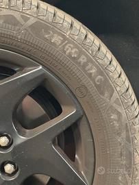 Gomme continental x Ford Tourneo Custom Sport