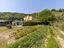 Immagine 25