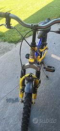 Bici molinari mtb full suspension bambino