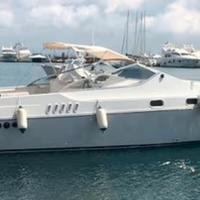 Barca Cobra Marine 33