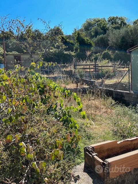 Appartamento – Catanzaro, Sant'Elia - Vista 4