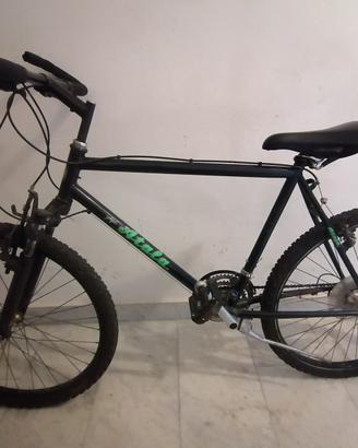 Bicicletta Montabike