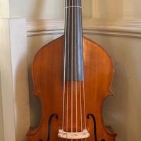 Contrabbasso  violone