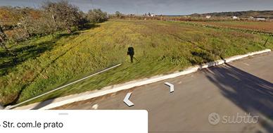 Piazzale Agricolo 1.677 MQ con servizi