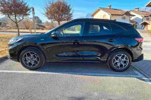 Ford Kuga 1.5 - 150 cv ST-Line