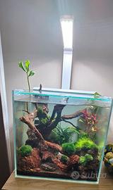 Acquario aqupet 30 litri