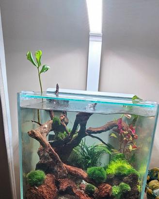 Acquario aqupet 30 litri