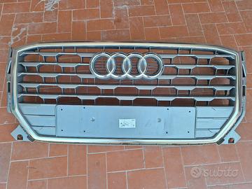 Griglia paraurti Audi Q2