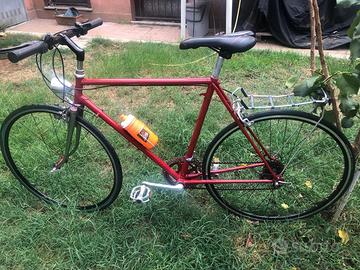 Bicicletta da passeggio