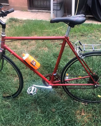 Bicicletta da passeggio
