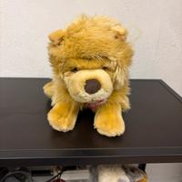 Cane peluches